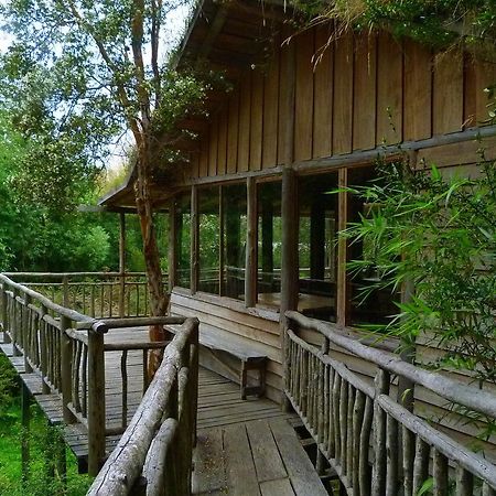 Вілла Puelo Siempreverde Puelo River Екстер'єр фото